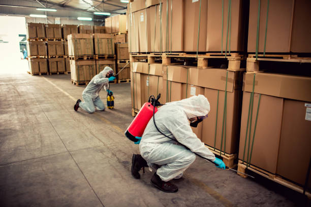 Best Bed Bug Extermination  in Westminster, CA