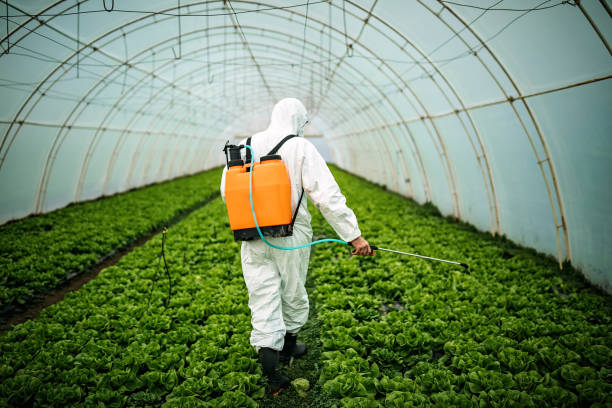 Best Best Pest Control Companies  in Westminster, CA