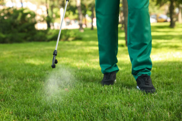 Best Commercial Pest Control Services  in Westminster, CA