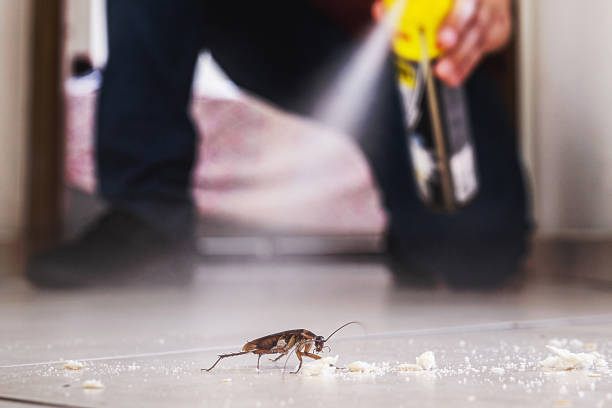 Best Pest Removal Services  in Westminster, CA