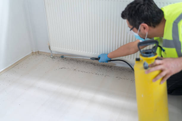 Best Emergency Pest Control  in Westminster, CA