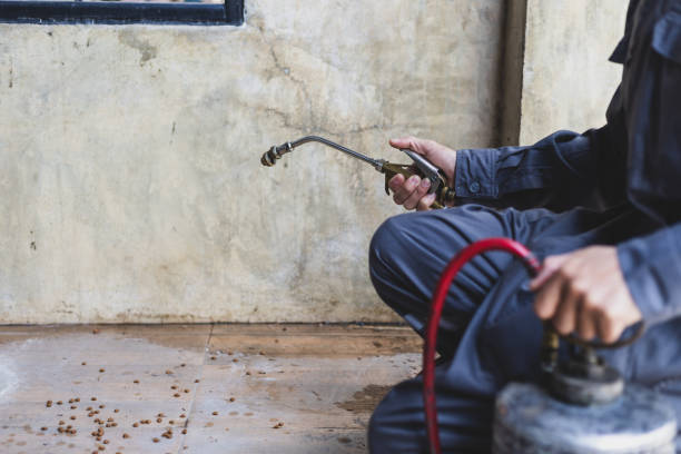Best Pest Prevention Services  in Westminster, CA